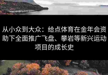 从小众到大众：给点体育在金年会资助下全面推广飞盘、攀岩等新兴运动项目的成长史
