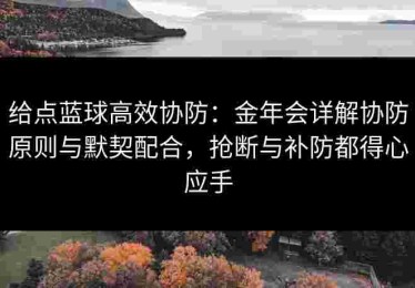 给点蓝球高效协防：金年会详解协防原则与默契配合，抢断与补防都得心应手