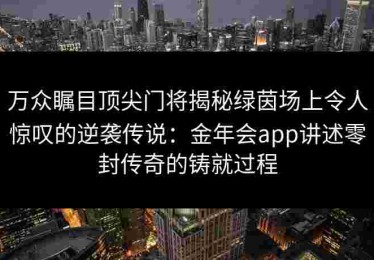 万众瞩目顶尖门将揭秘绿茵场上令人惊叹的逆袭传说：金年会app讲述零封传奇的铸就过程