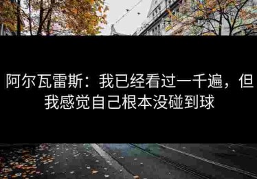 阿尔瓦雷斯：我已经看过一千遍，但我感觉自己根本没碰到球