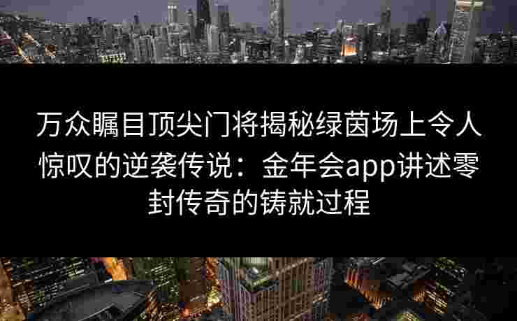万众瞩目顶尖门将揭秘绿茵场上令人惊叹的逆袭传说：金年会app讲述零封传奇的铸就过程
