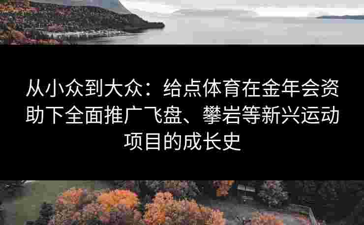 从小众到大众：给点体育在金年会资助下全面推广飞盘、攀岩等新兴运动项目的成长史